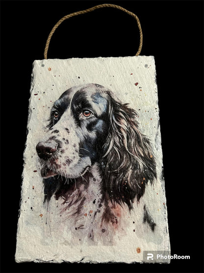 Springer Spaniel Portrait Decoupage Rice Paper - DGB 5201b
