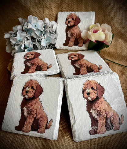 Labradoodle Decoupage Rice Paper - DGB 1101
