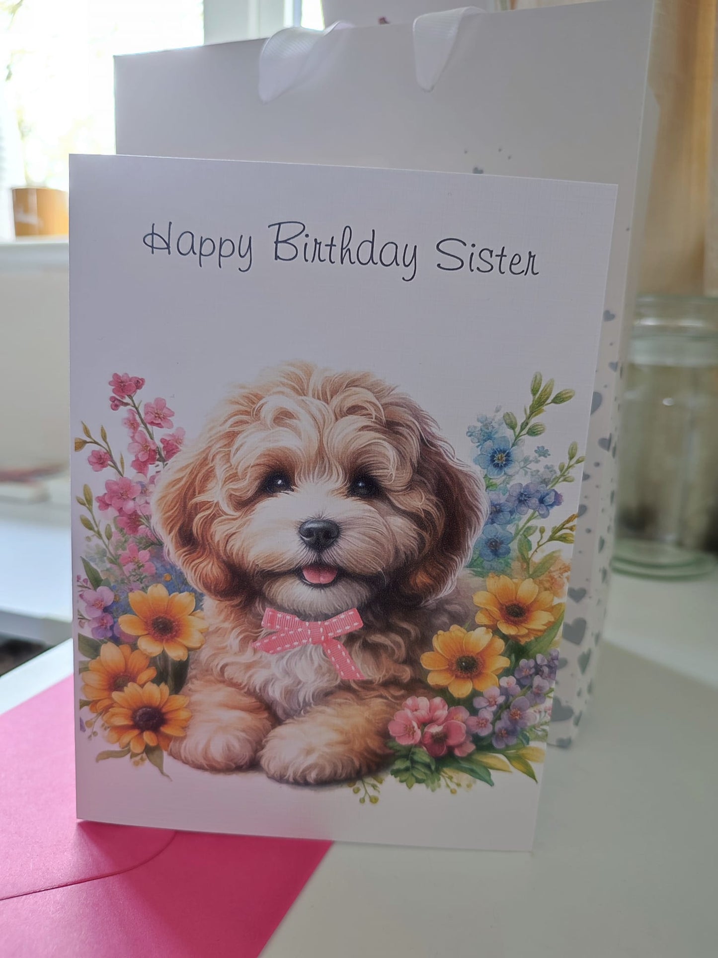 DD Cavapoo Bundle 1