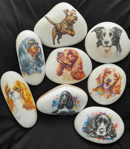 Cocker Spaniel Portraits Decoupage Rice Paper - DGF 2402