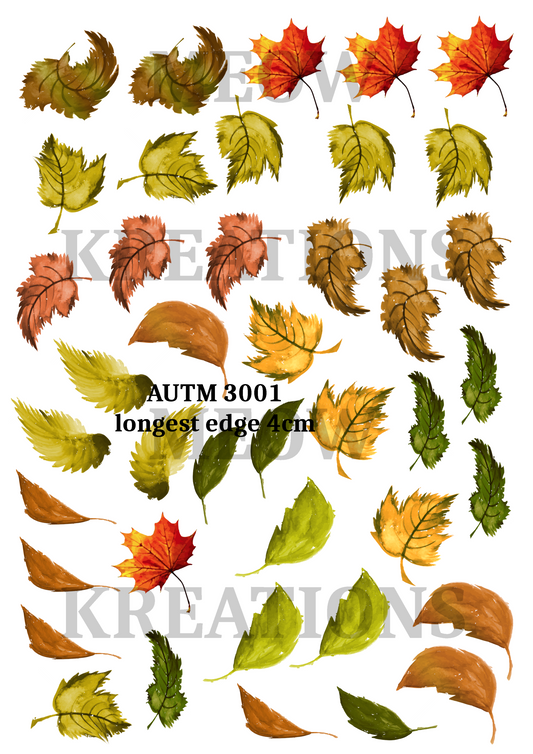 AUTM 3001 (2)
