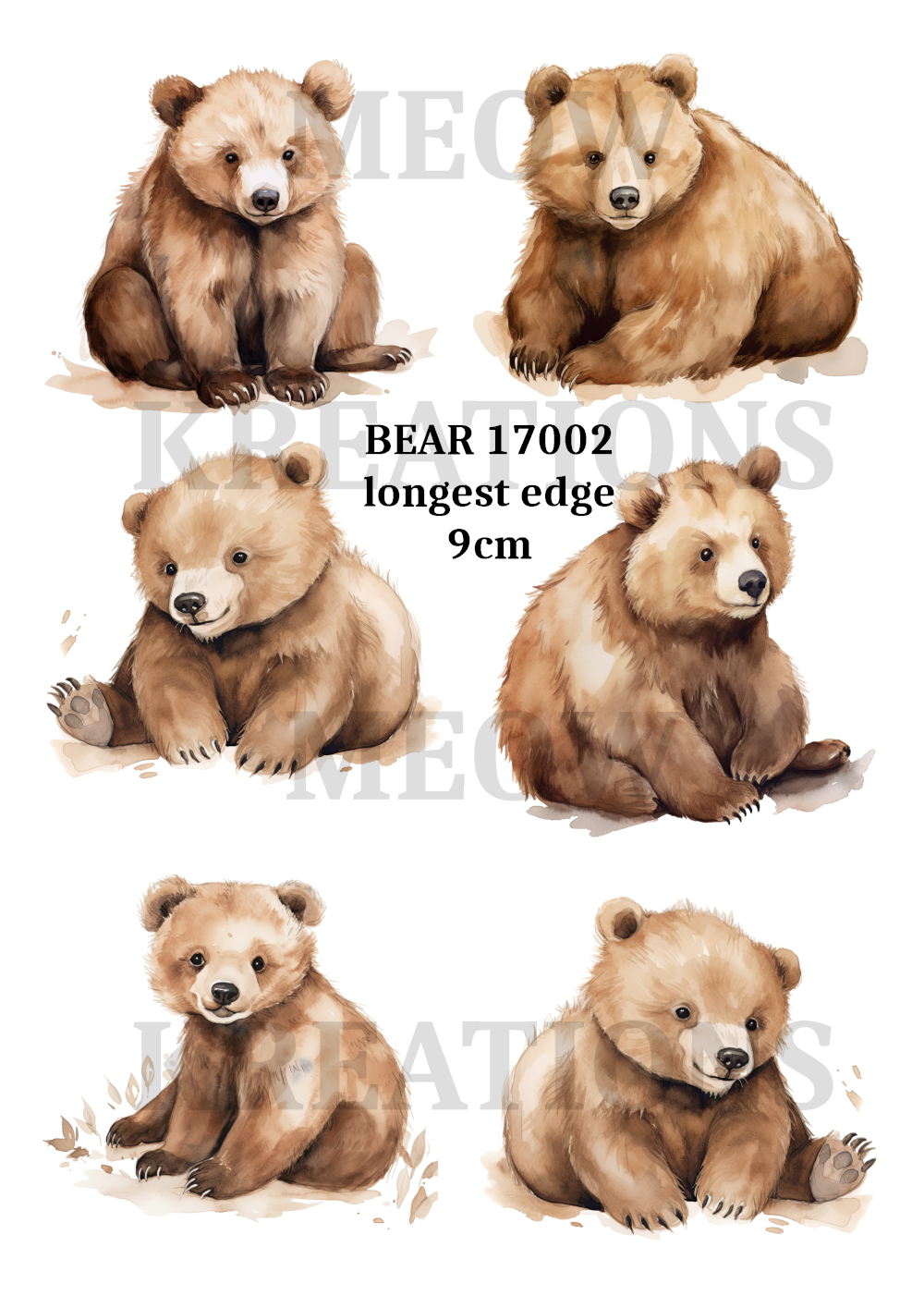 BEAR 17002