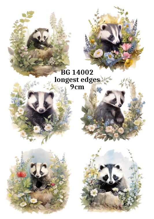 BG 14002