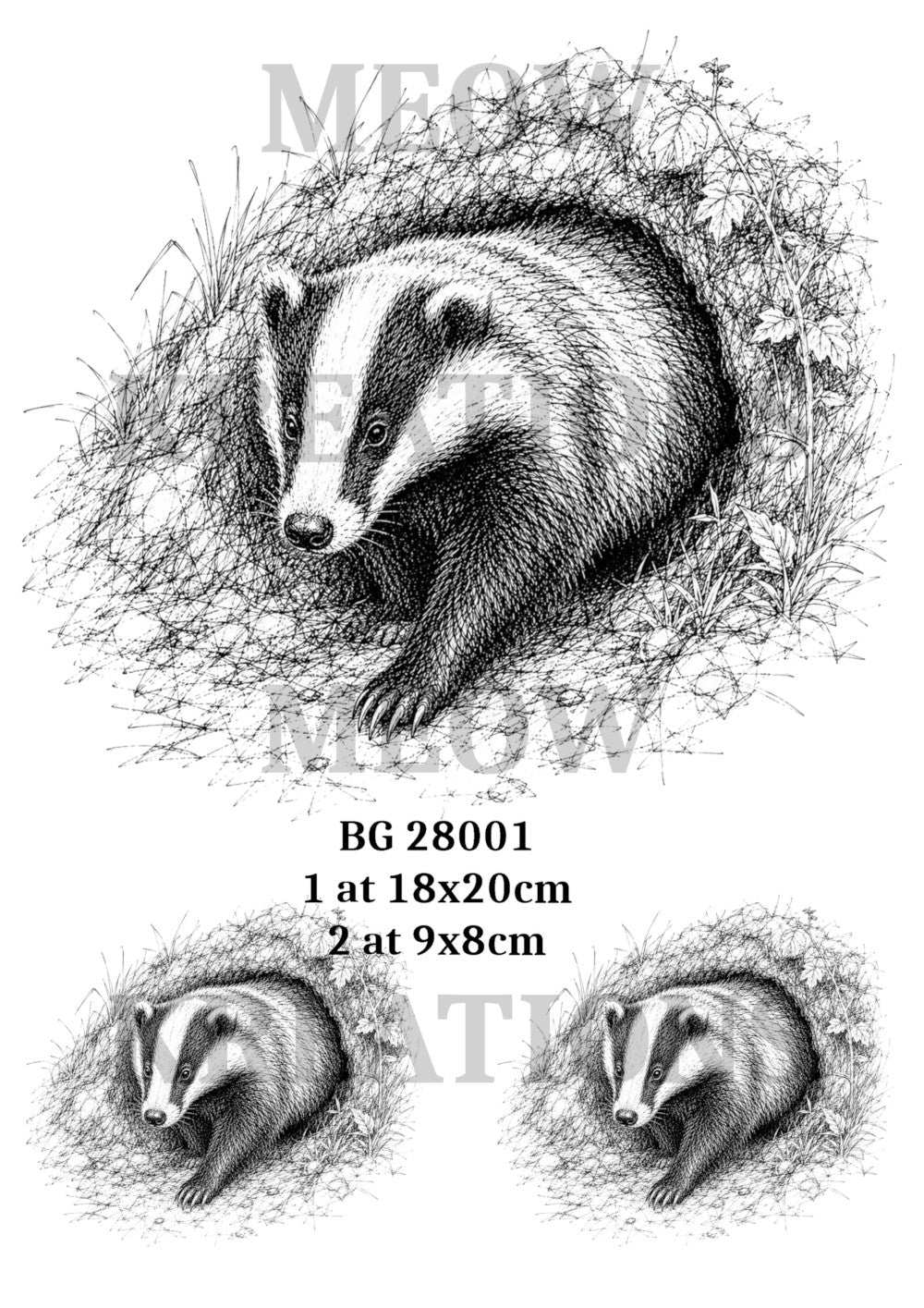 BG 28001