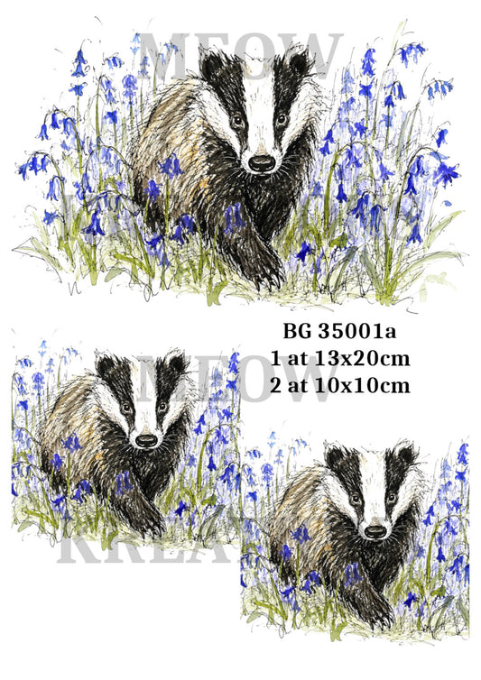 BG 35001a