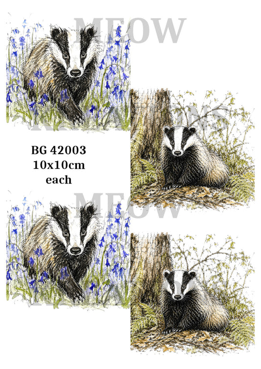 BG 42003