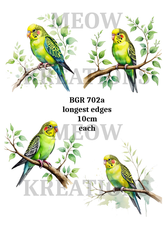 BGR 702a