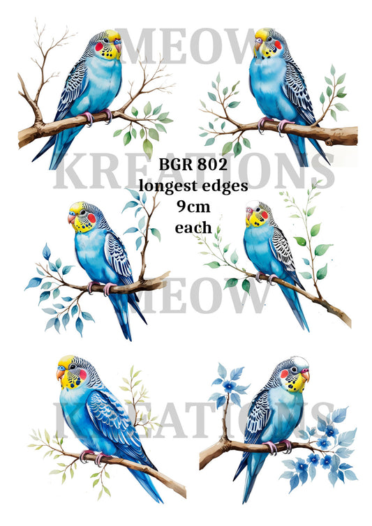 BGR 802