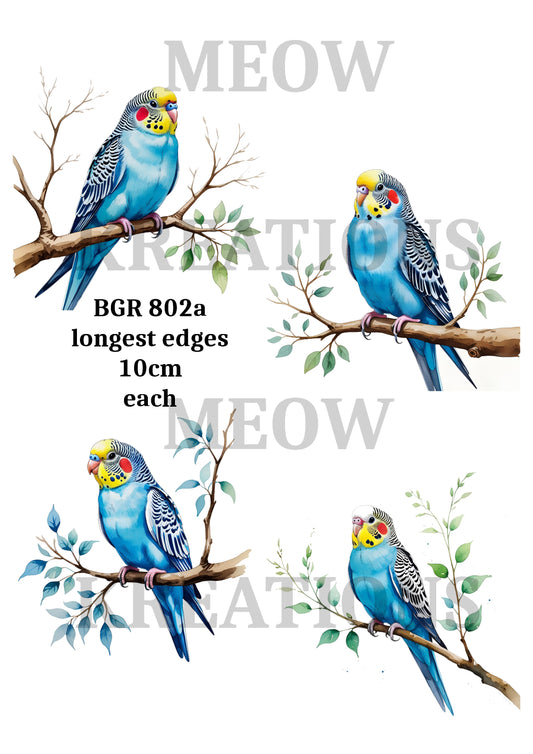 BGR 802a