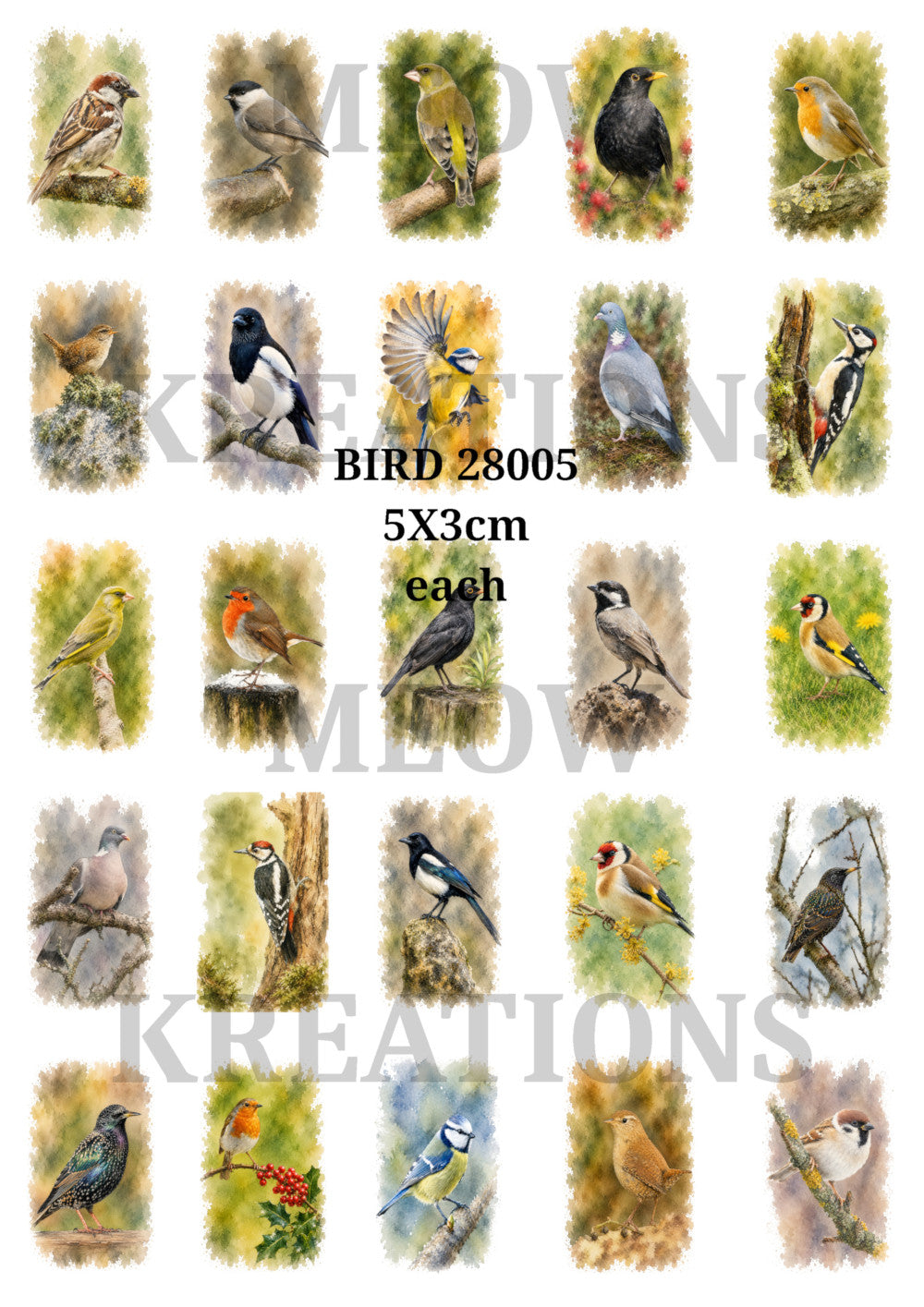 BIRD 28005