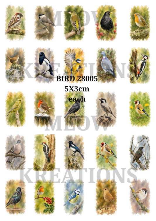 BIRD 28005