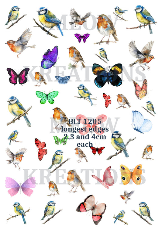 Robin Bird BlueTit, Butterfly,  Decoupage Rice Paper - BLT 1205