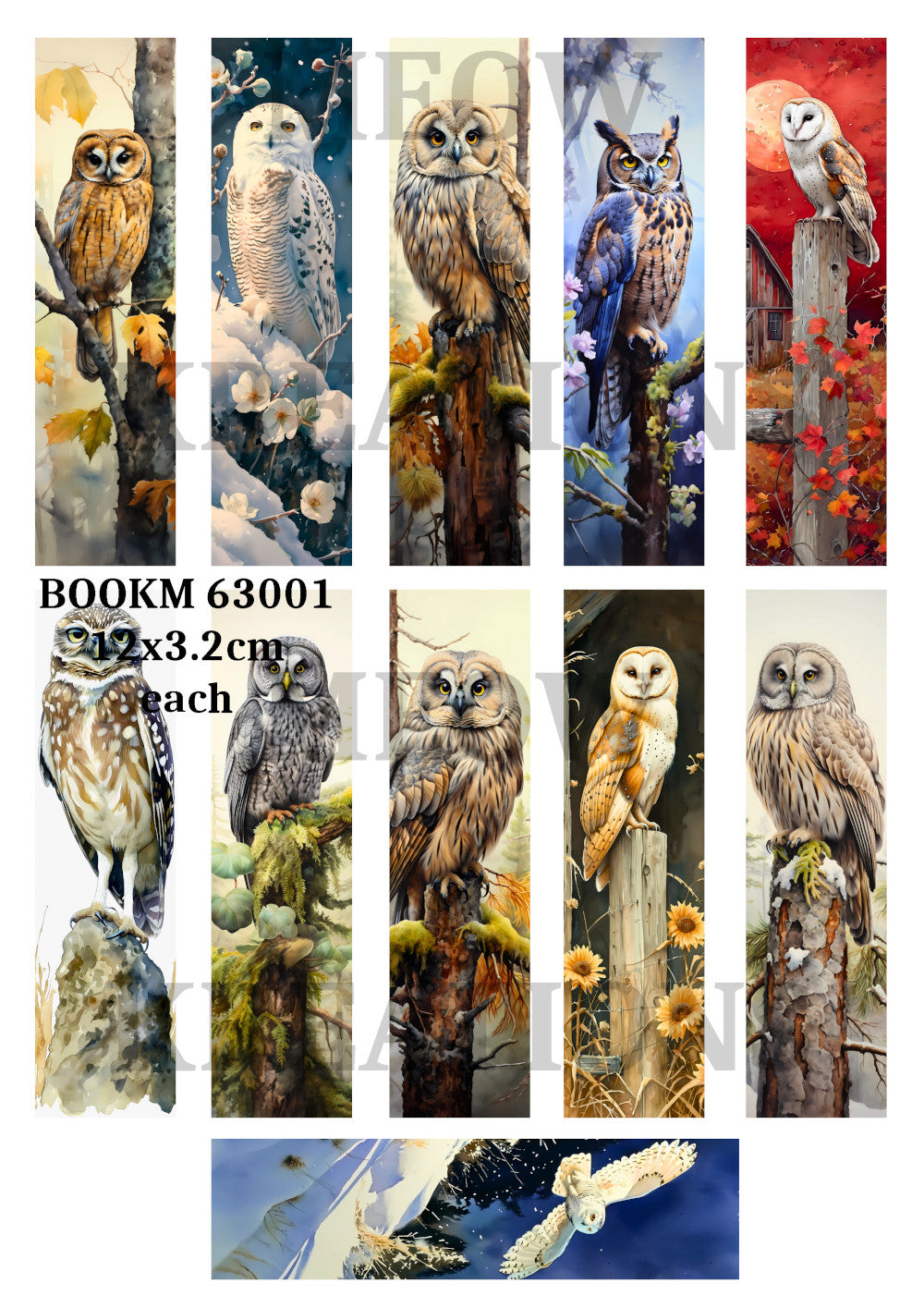 BOOKM 63001