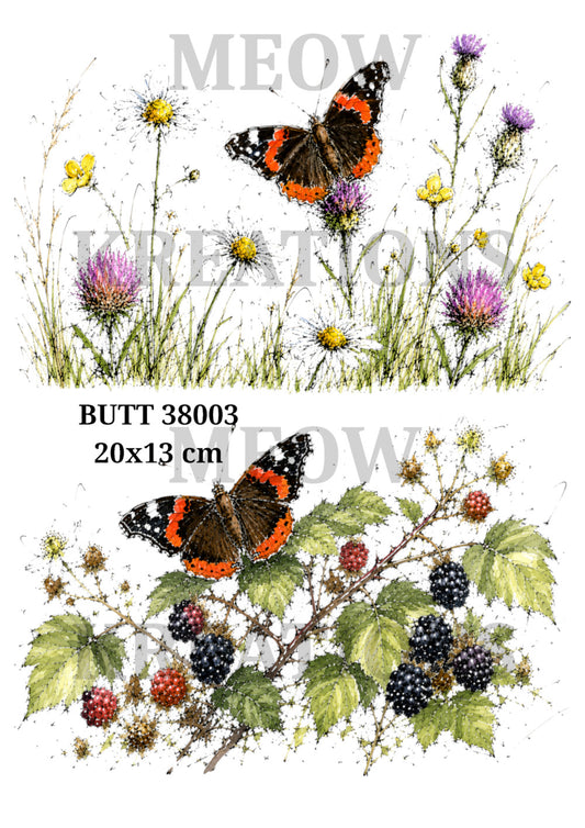 BUTT 38003