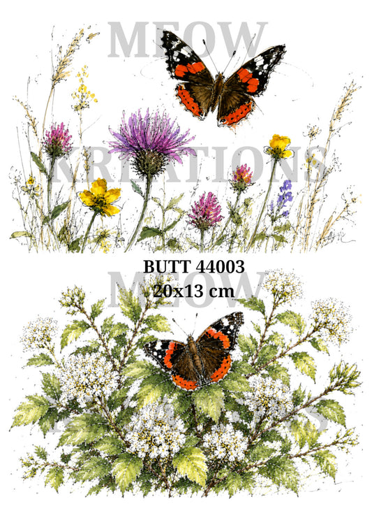 BUTT 44003