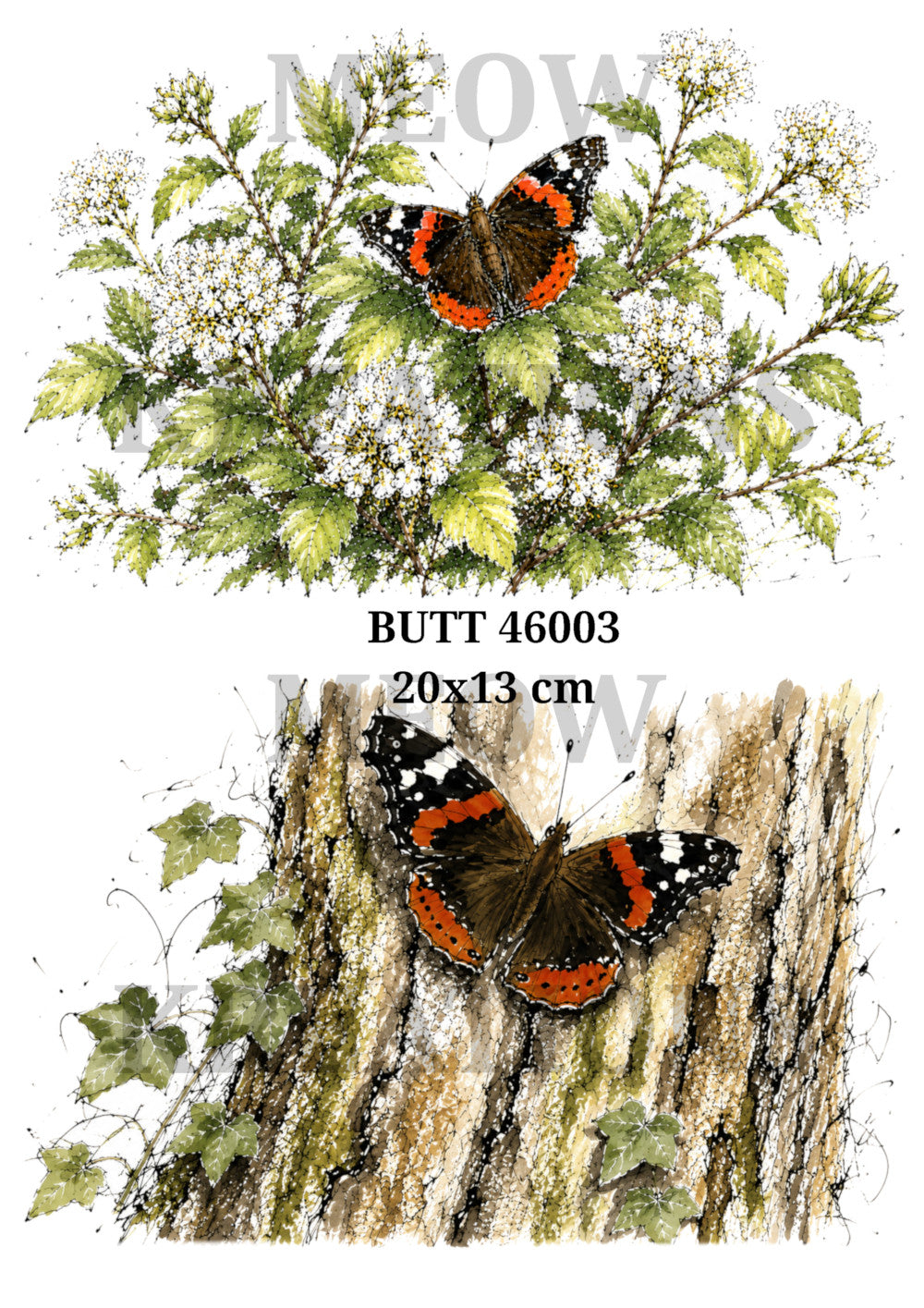 BUTT 47003