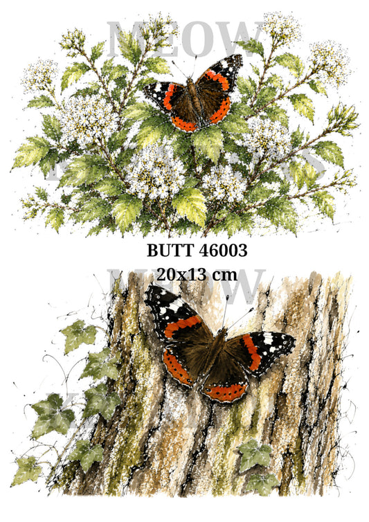 BUTT 47003