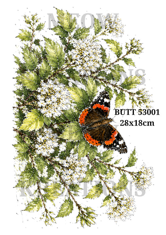 BUTT 53001