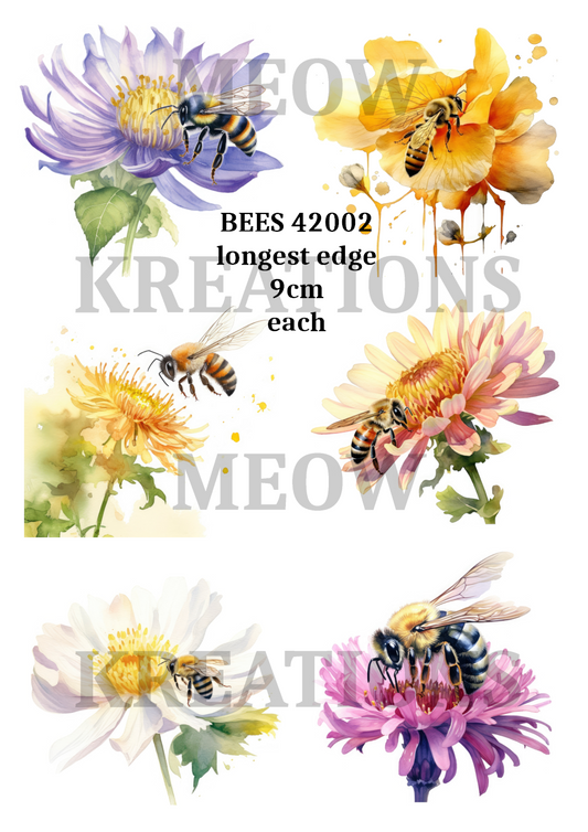 BEES 42002