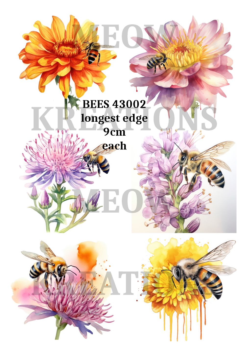 BEES 43002