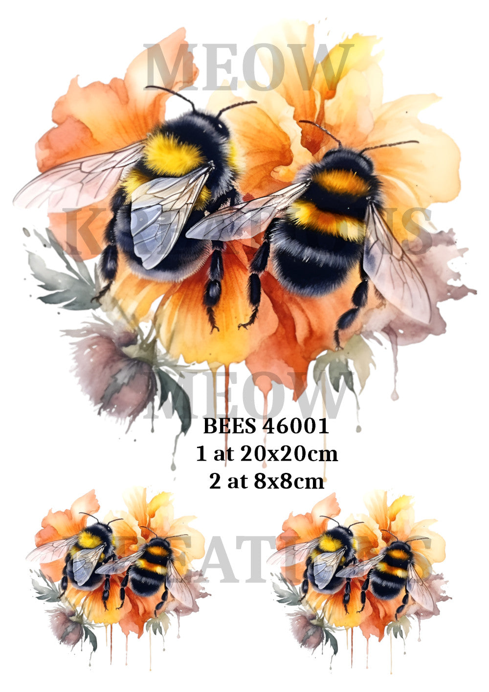 BEES 46001