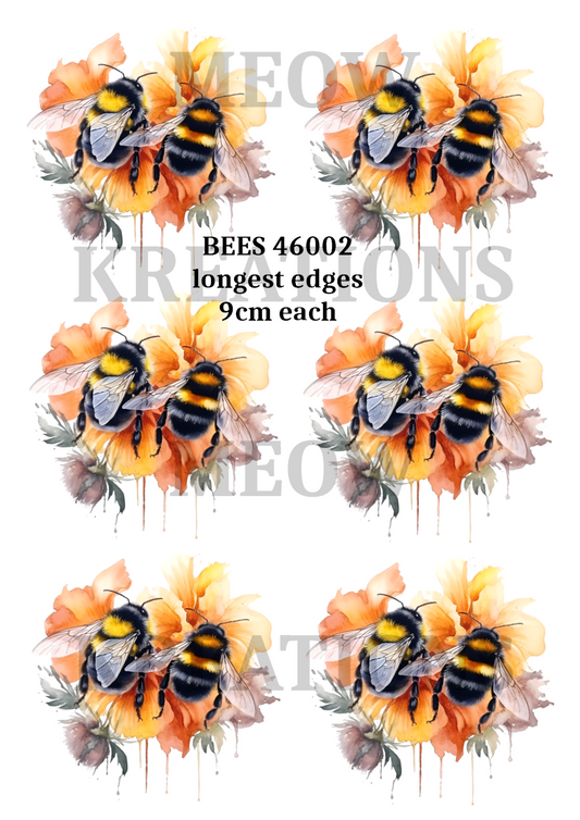 BEES 46002