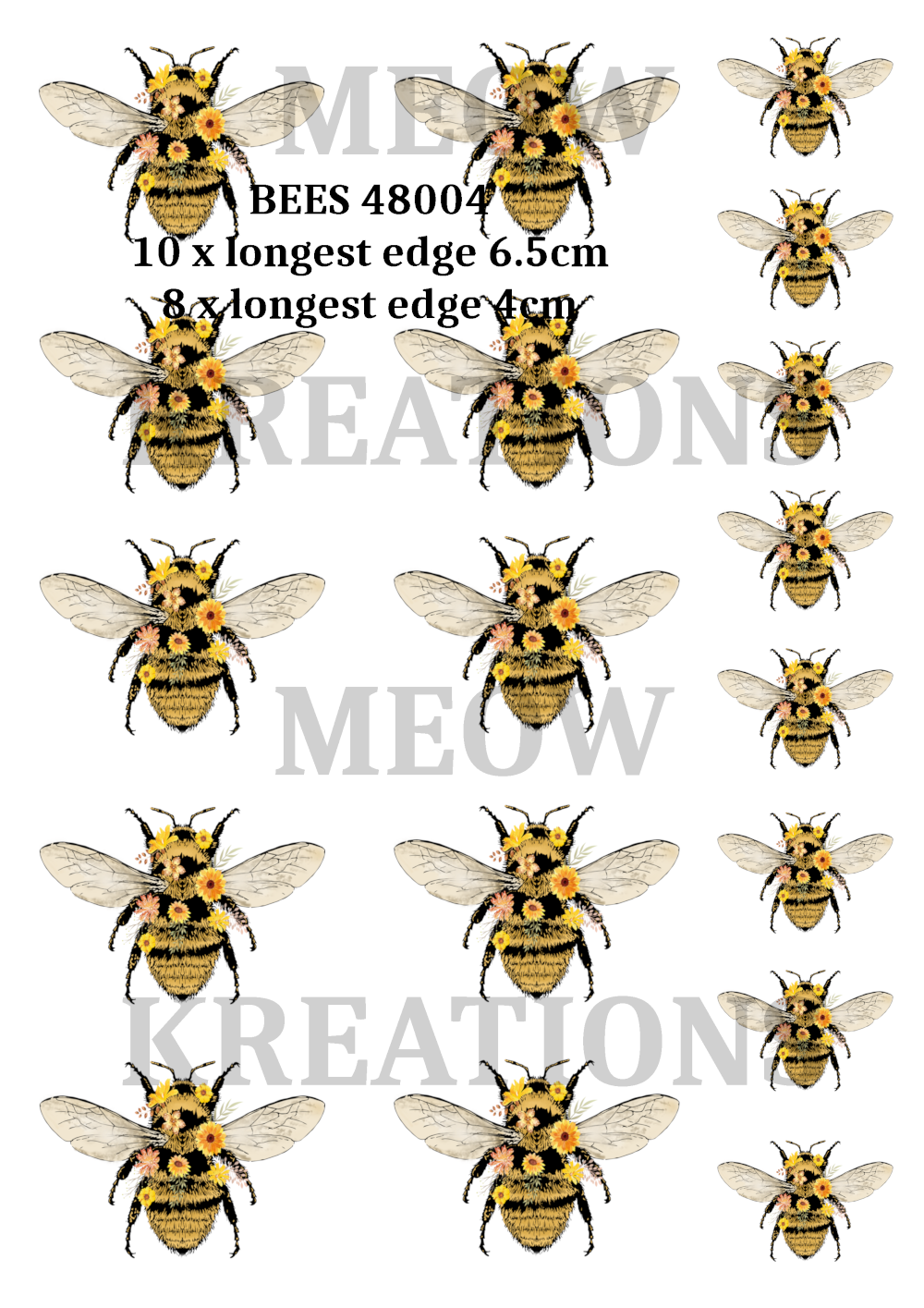 BEES 48004