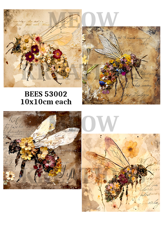 BEES 53002