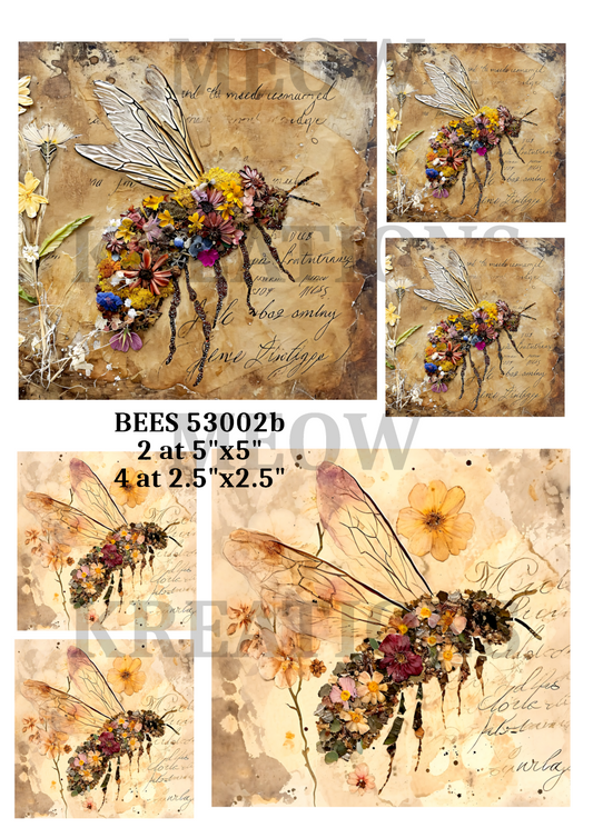 BEES 53002b