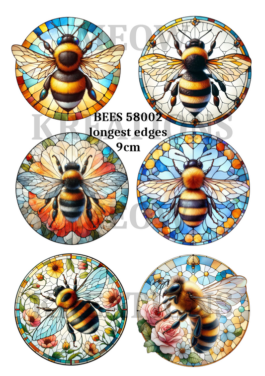 BEES 58002