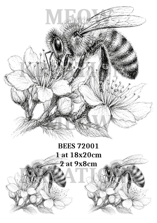 BEES 72001