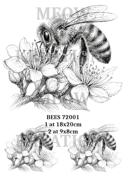 BIENEN 11001