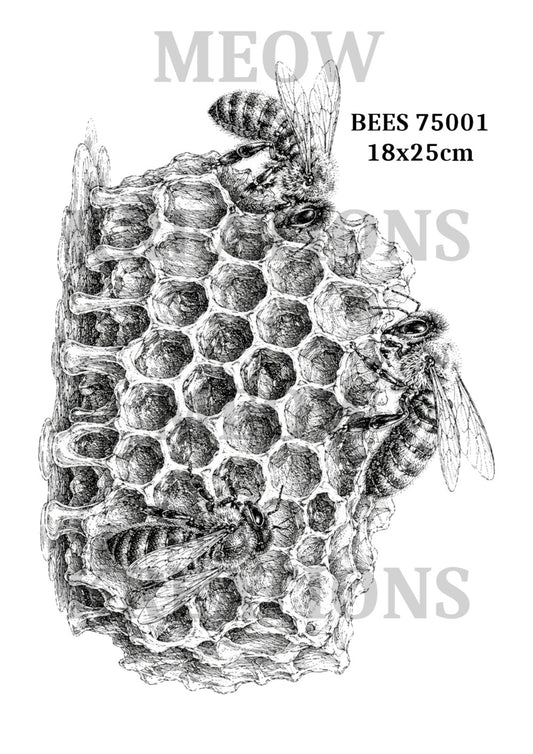 BEES 75001