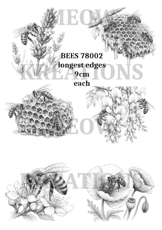 BEES 79002
