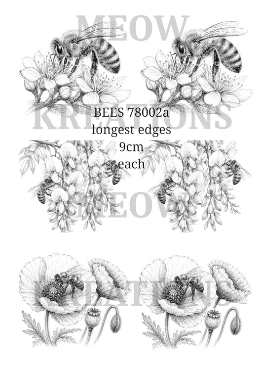 BEES 78002a