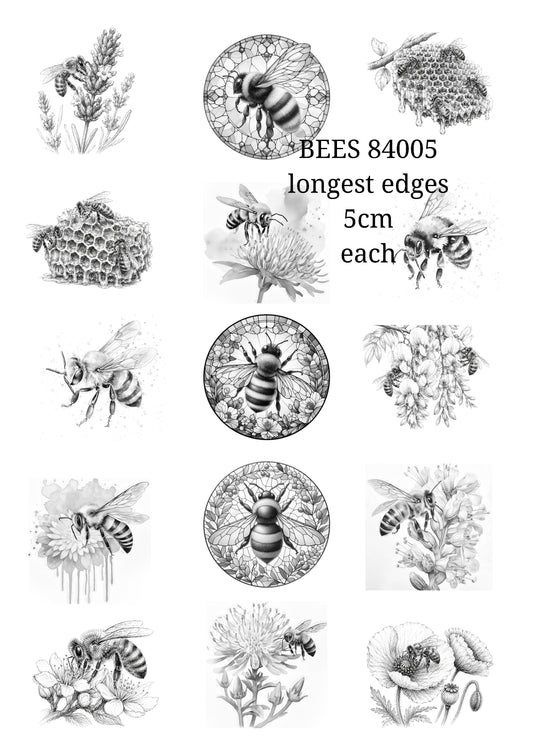 BEES 84005