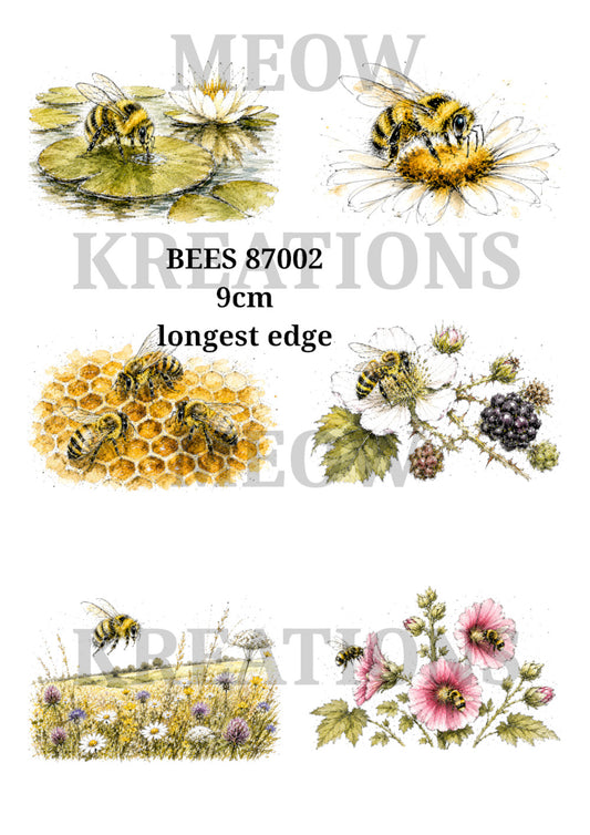 BEES 87002