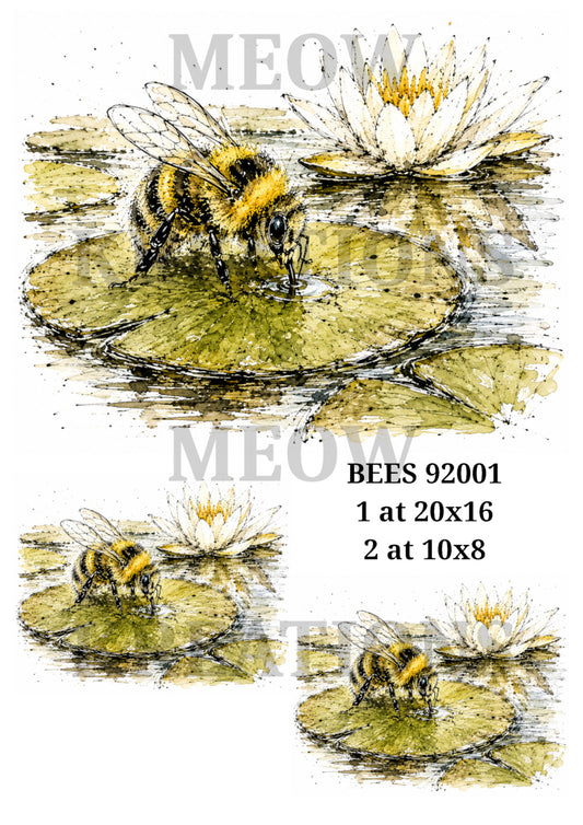 BEES 92001