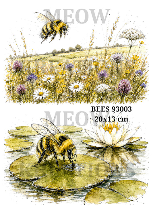 BEES 93003