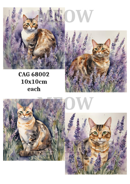 Tabby Cats & Lavender Decoupage Rice Paper - CAG 68002