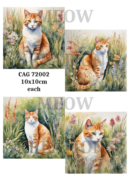 Ginger & White Cats in Wildflowers Decoupage Rice Paper - CAG 72002