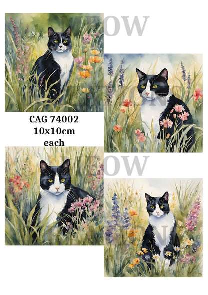 Black & White Cats in Wildflowers Decoupage Rice Paper - CAG 74002