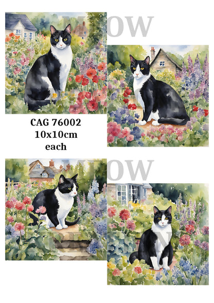 Black & White Cats in Cottage Gardens Decoupage Rice Paper - CAG 76002