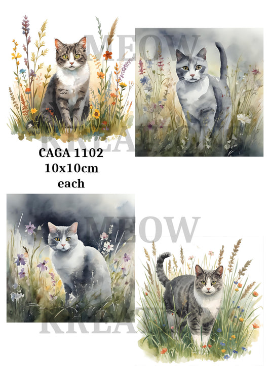CAGA 1102