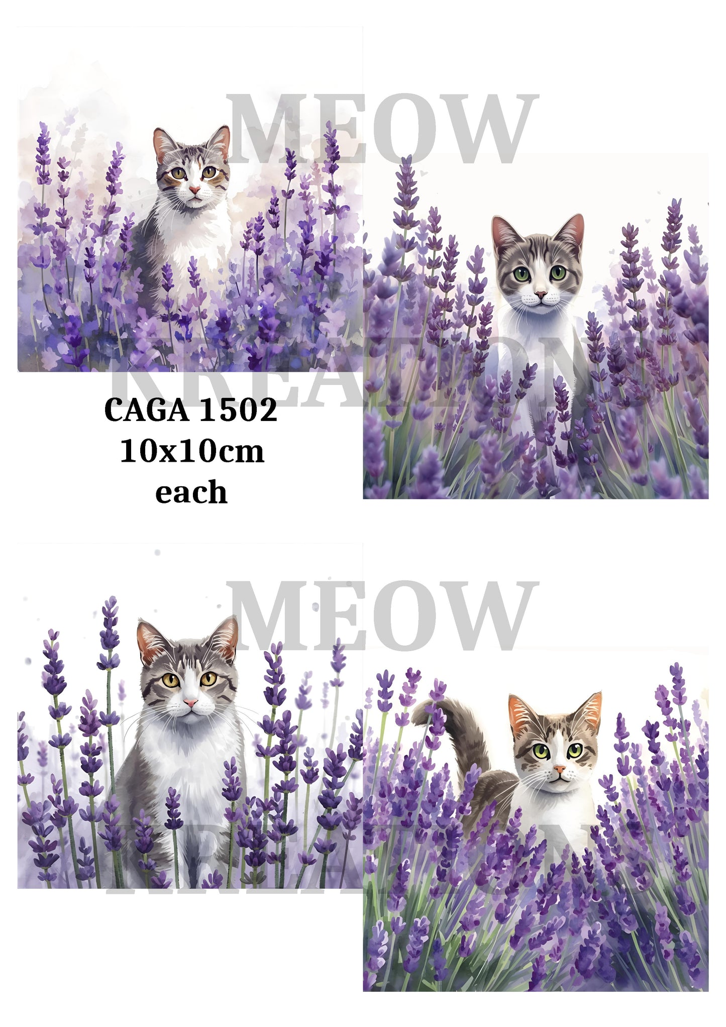 CAGA 1502
