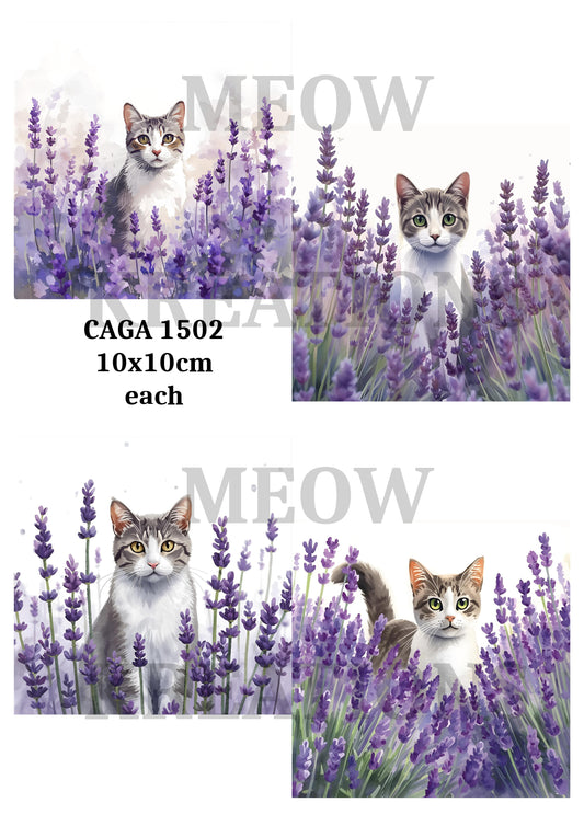 CAGA 1502