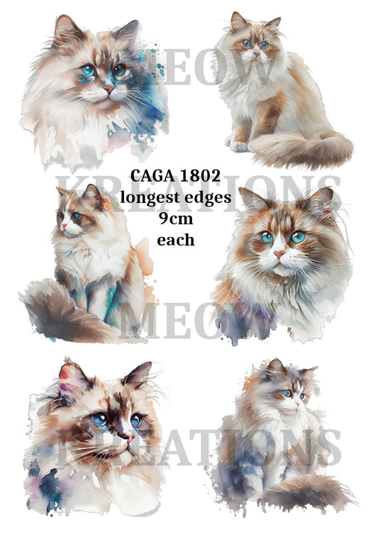 CAGA 1802