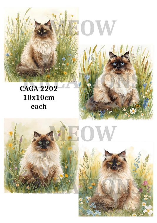 CAGA 2202