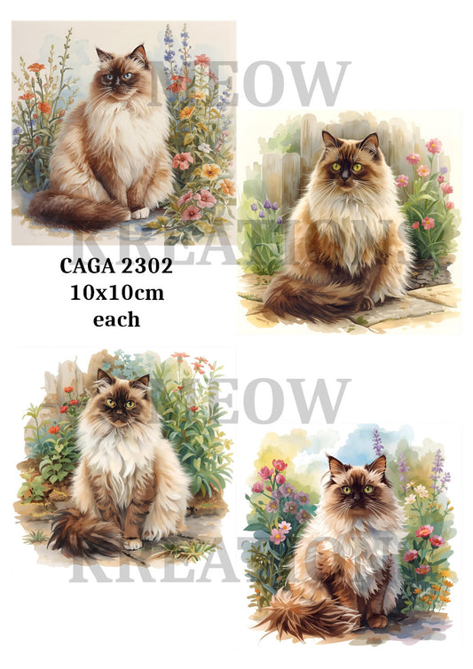 CAGA 2302