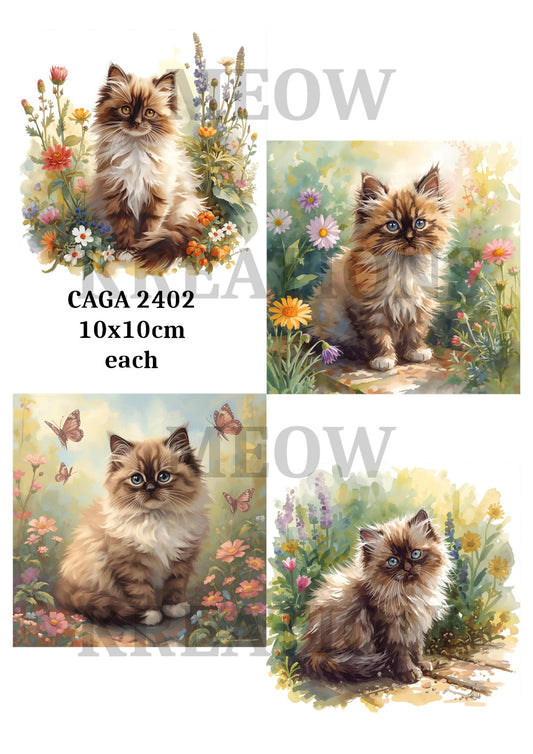 CAGA 2402